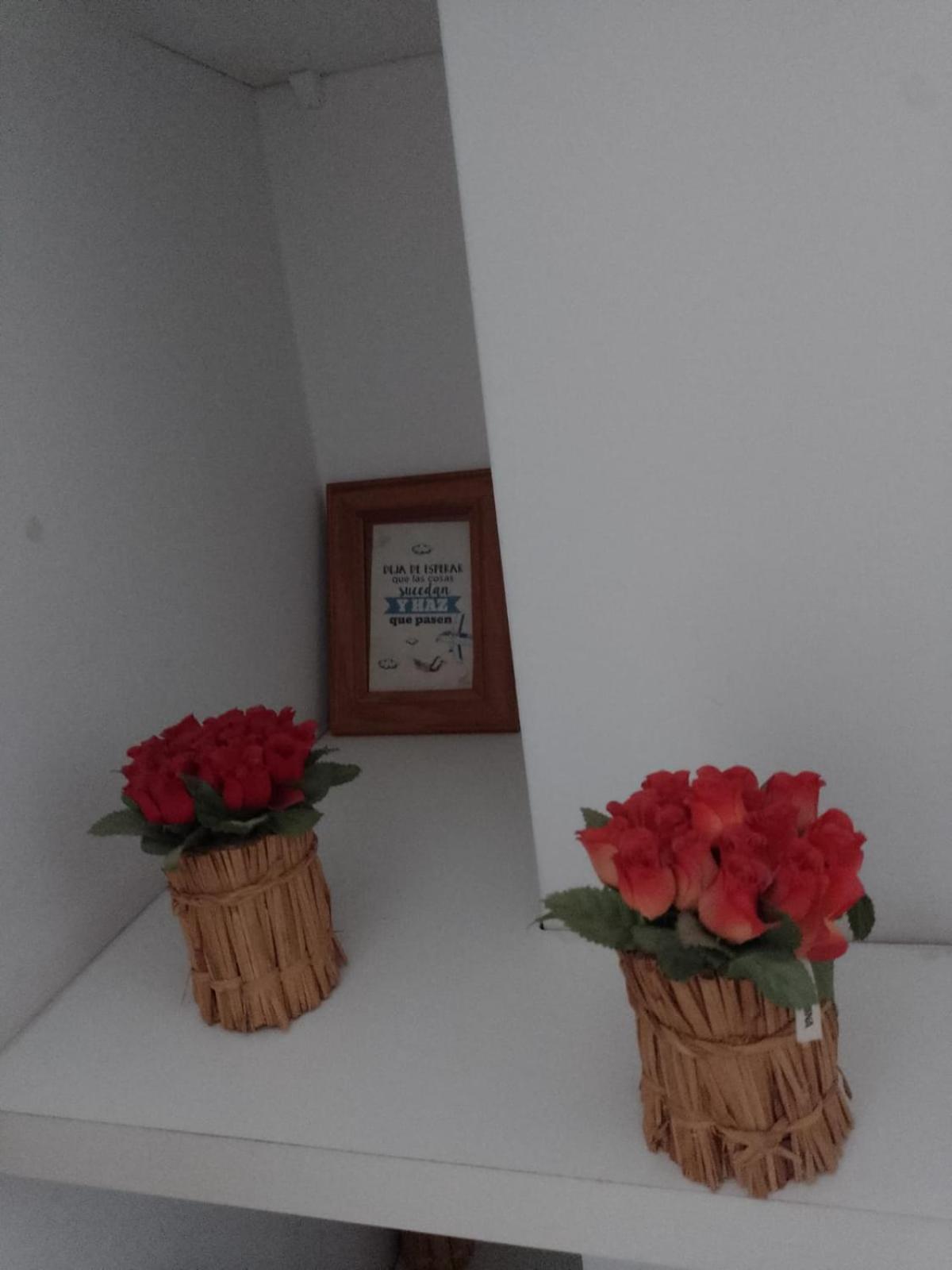 Relax En Palermo Con Gran Balcon Y Wifi 300Mb Buenos Aires Dış mekan fotoğraf